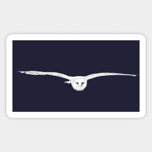 Barn owl in flight Magnet